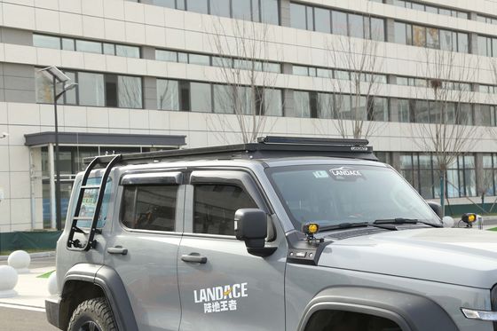 Kit de actualización de escalera de lado negro para el tanque 300 personalizado