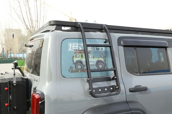 Accesorios exteriores personalizables Escalera lateral de acero para tanques 300
