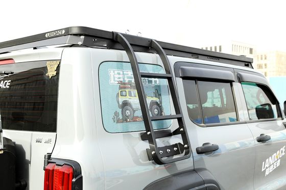 Diseño Kit de modernización de escalera de lado negro para 2013-2017 WEY Tanque 300 4x4 Accesorios